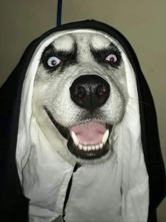 Free Porn Online Club